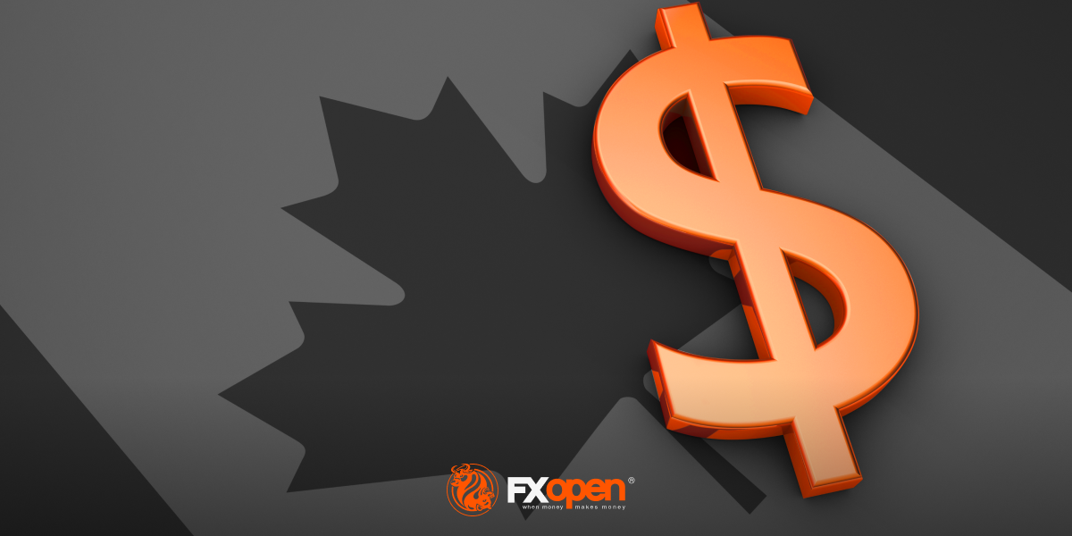 USD/CAD Exchange Rate Stabilises