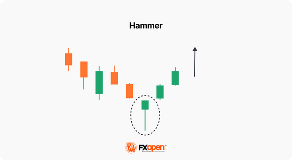 The Hammer