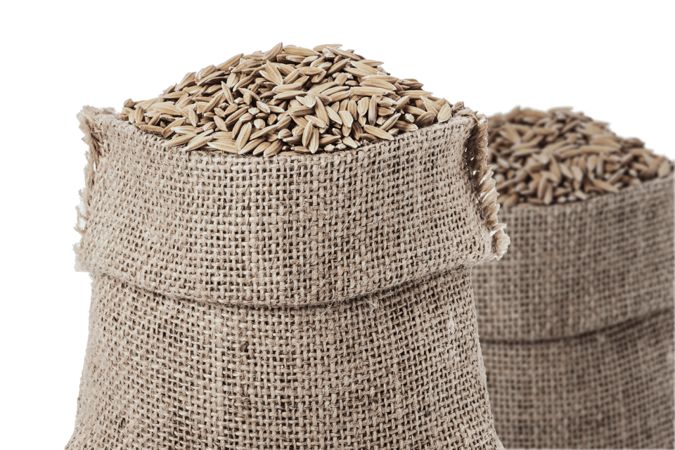 Продукты сельского хозяйства: кукуруза, сахар и пшеница